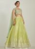 Picture of Frankie Lehnga Choli