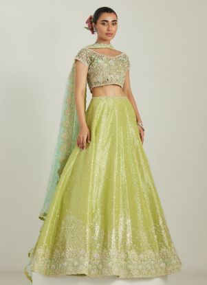 Picture of Frankie Lehnga Choli
